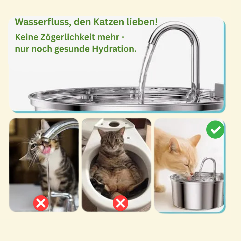 HeyFluppi-Trinkbrunnen